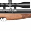 Air Arms S510 carbine