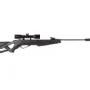 Gamo Whisper Silent Cat