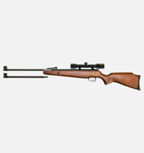Beeman Gas Ram Dual 1073GP