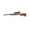 Weihrauch HW57 FTS
